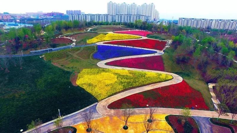 适合公园玩的运动,主题式运动公园