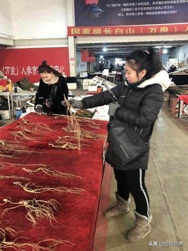 中国人参之乡抚松万良,最近抚松县万良人参交易市场