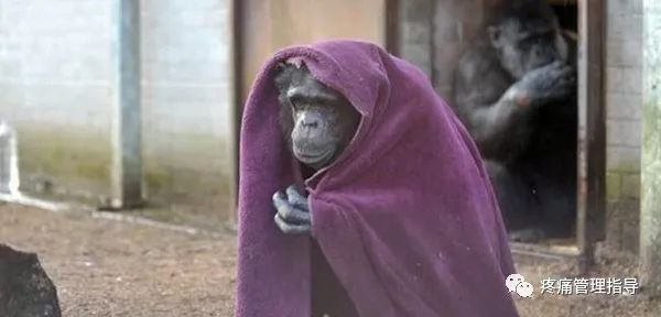 为什么天冷肩颈就痛起来,为什么天冷颈肩不舒服