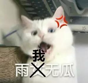 《一路成年》重磅来袭,成人版的爸爸去哪儿,嘉宾阵容强大