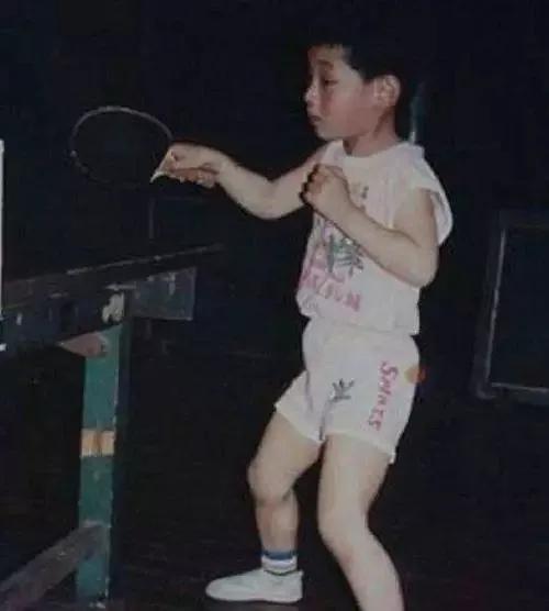 张继科在刘诗雯低谷期高调秀恩爱,张继科乒乓球遗憾