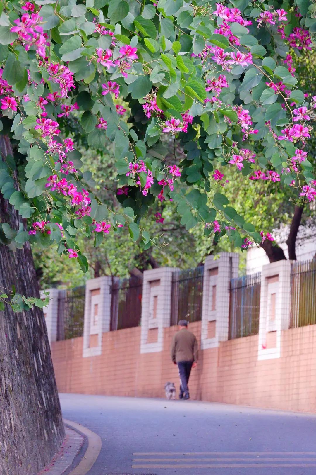 温暖一冬的小妙招,温暖过冬指南图片