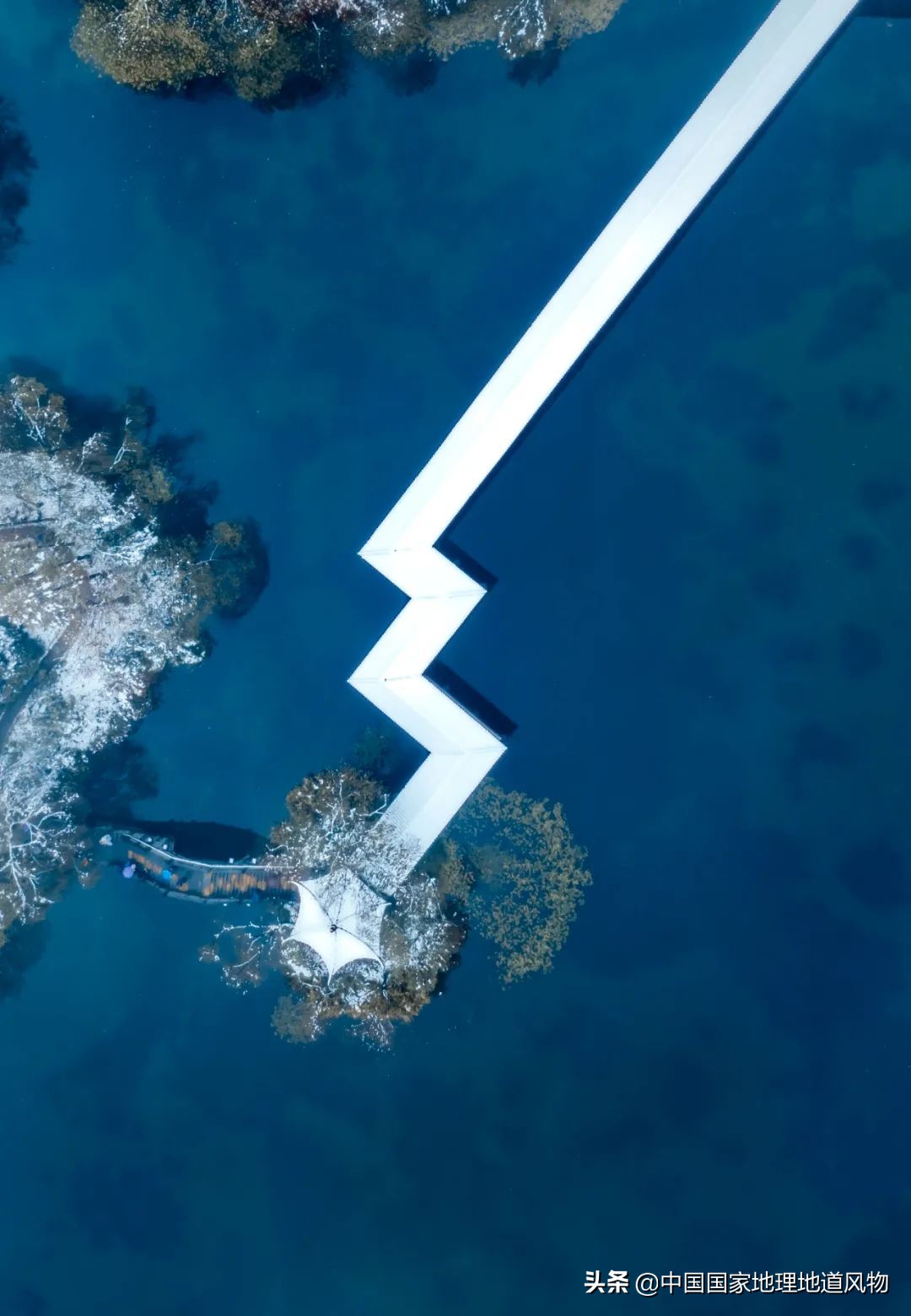 什么是西湖成语,什么是西湖莼菜