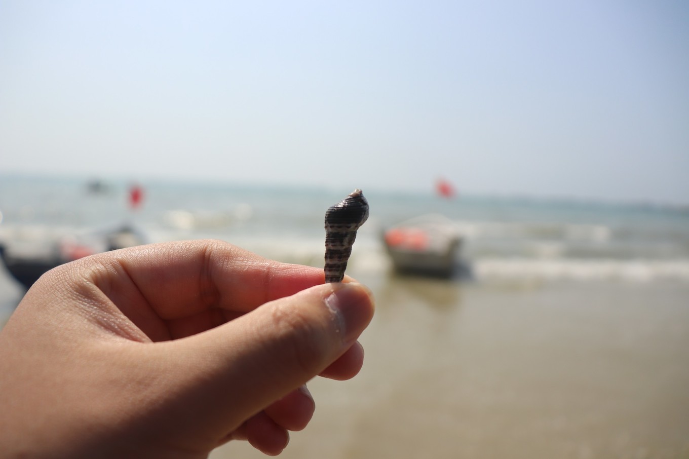 鑷┚鍖楁捣鏃呮父鏀荤暐,鍖楁捣璧舵捣鏃呮父鏀荤暐