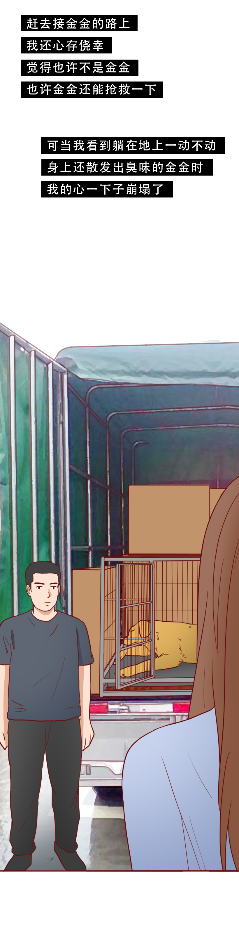 瀹犵墿鎵樿繍鍑轰簨婕敾,瀹犵墿鎵樿繍浜嬩欢鍚庣画婕敾