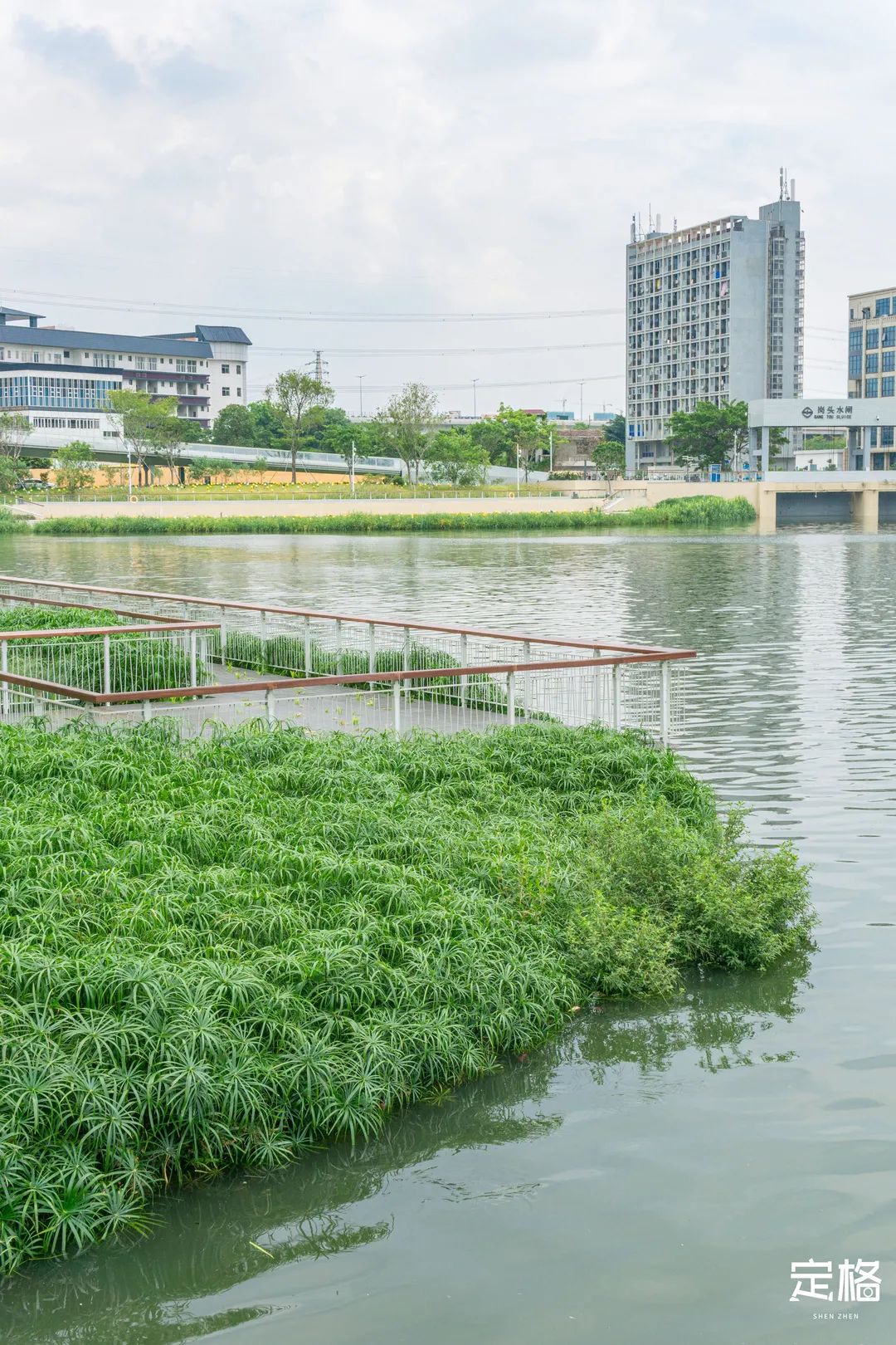 沙井万丰哪里的生蚝好吃,深圳沙井生蚝最出名店