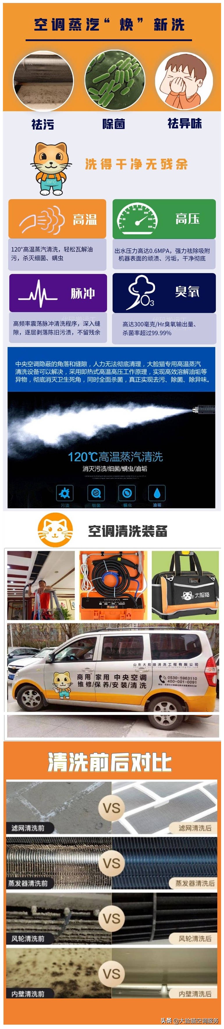 大脸猫推荐理由,大脸猫保健品