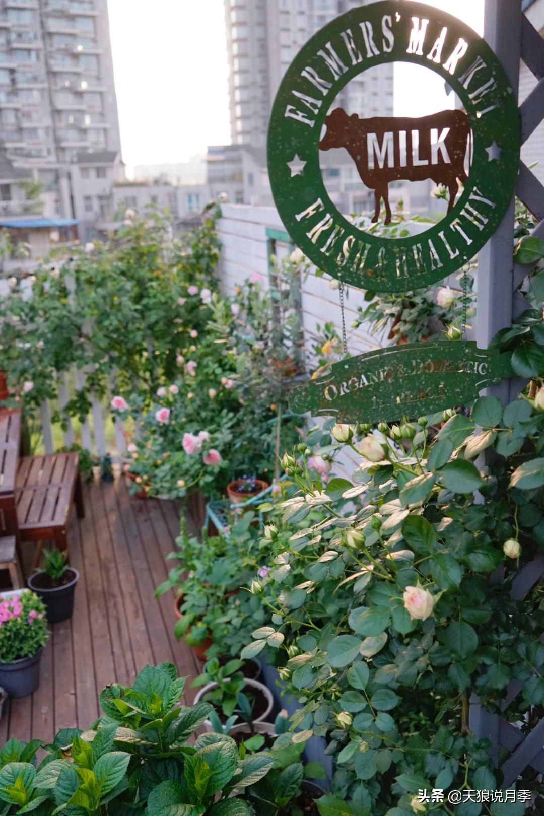 如何打造四季开花的花园,如何打造四季都有花的花园