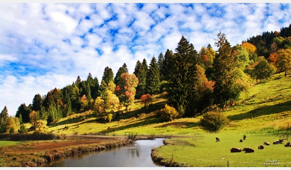 淘宝违规行为分哪两种,淘宝违规的行为分为哪两种