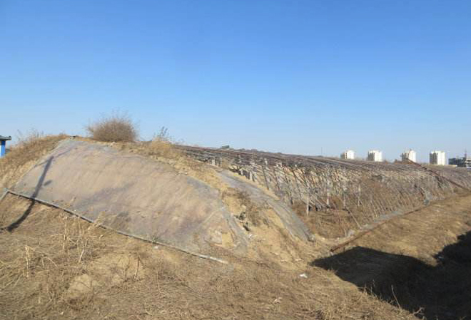 农村闲置大棚增多，种植大棚的前景不被看好，真的不行了吗？