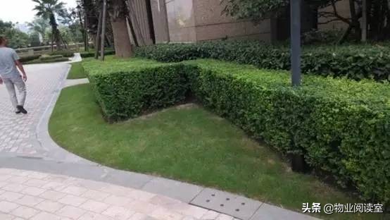 小区绿化养护一般做哪些工作,小区绿化养护需要什么资质