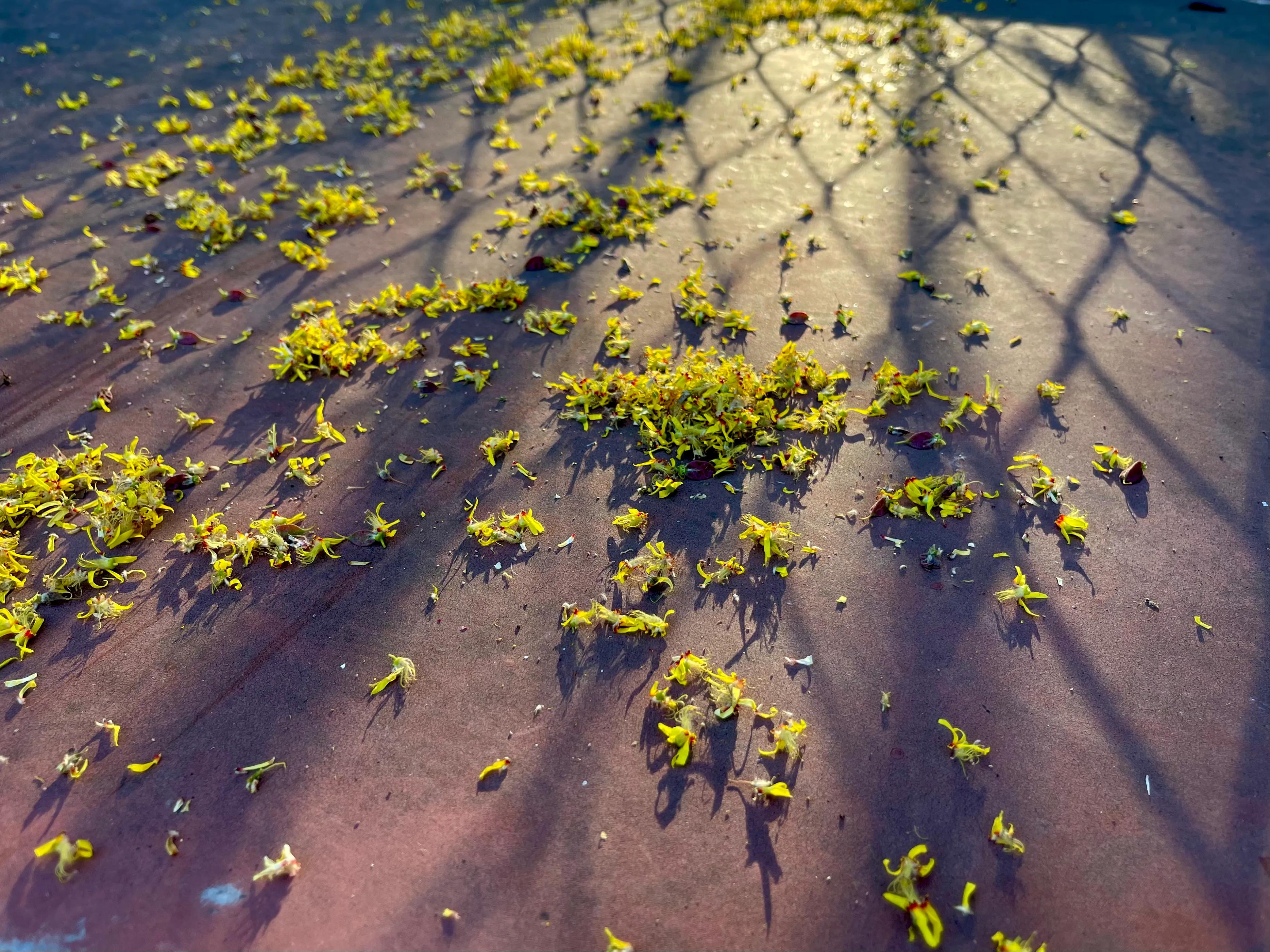 绉嬫棩绗旇鐩存挱,绉嬫棩绗旇