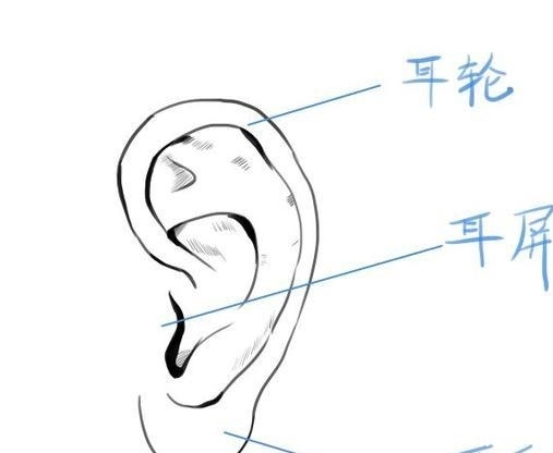 动漫人物头部怎么画简单,动漫头部各个角度画法