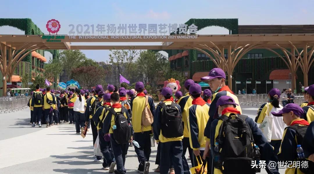 《观明德》|“研”传深“教”，让教育发光