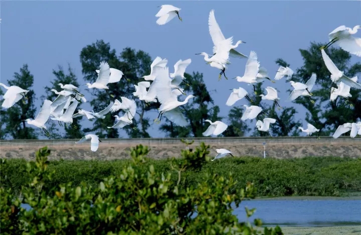 广西北海负氧离子怎么产生的,北海空气负氧离子含量是多少