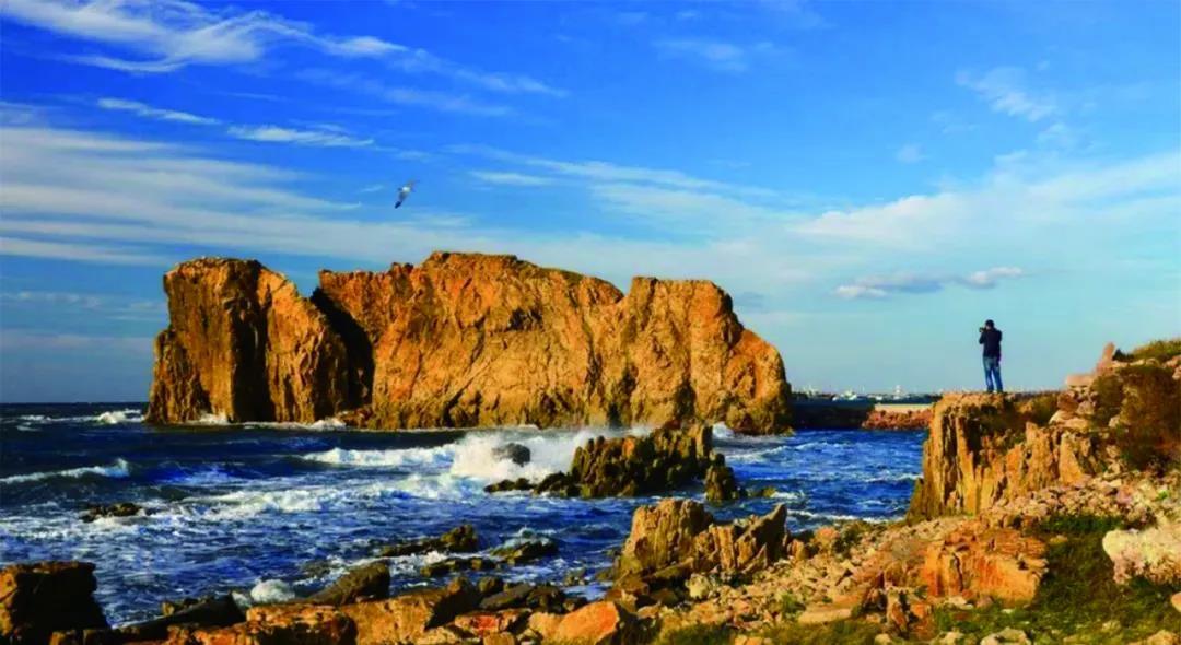 沈阳日报12月13日,沈阳新闻9月16日