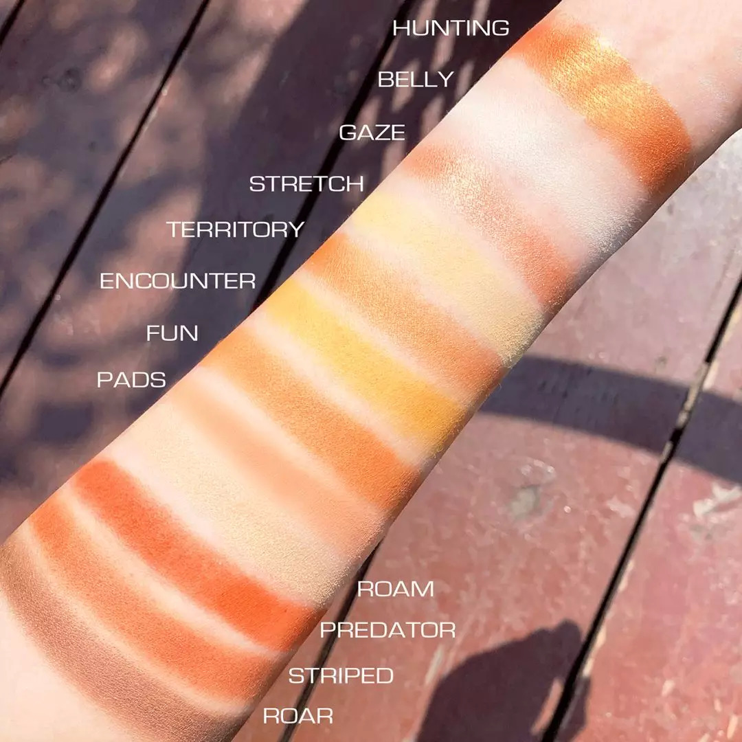 不用代购的平价产品有哪些,超高颜值的国货眼影盘