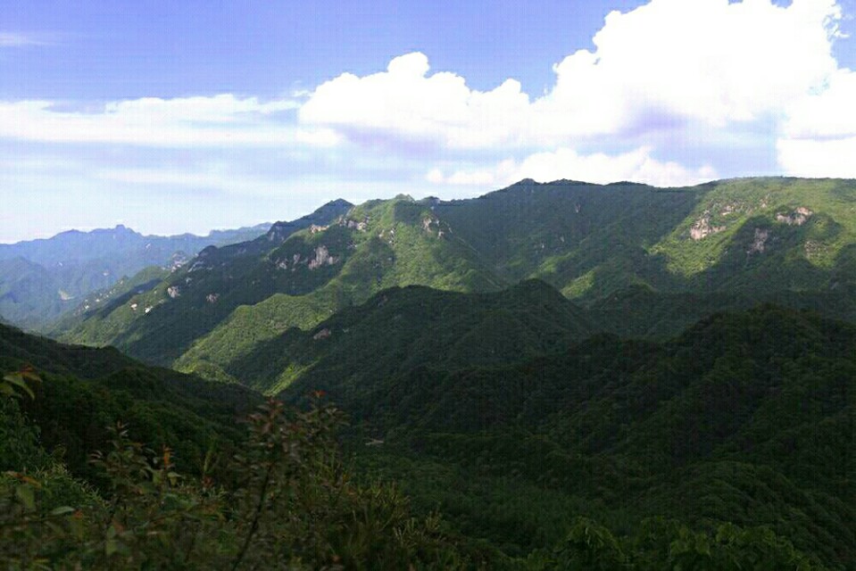 行天下金盛海棠,行天下品淮扬