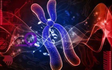 碱性体质的表现与危害,身体碱性容易怀男孩是真的吗