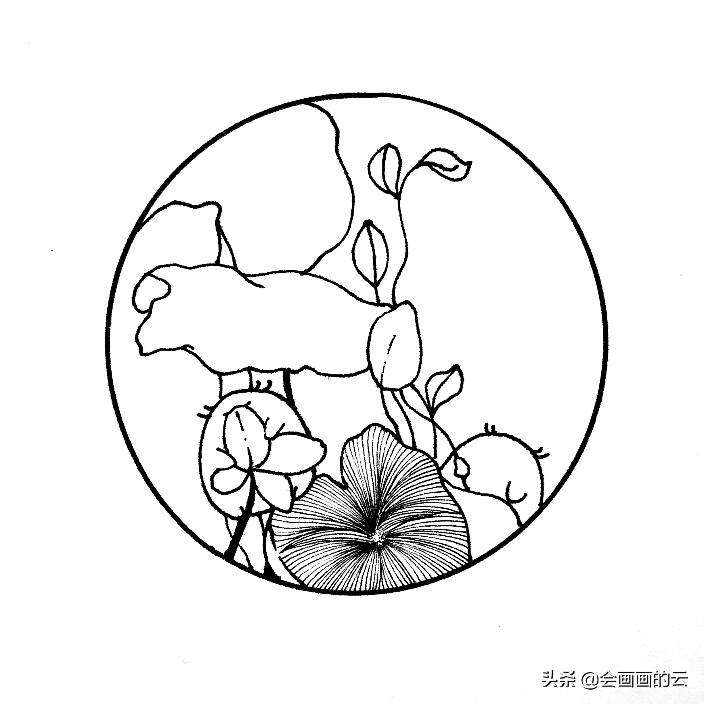 二次元简笔画教程新手入门必备,画画新手必练300图简笔画