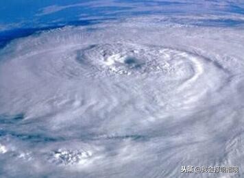 周公解梦梦到什么预示爱情成功,周公解梦你都梦见什么了