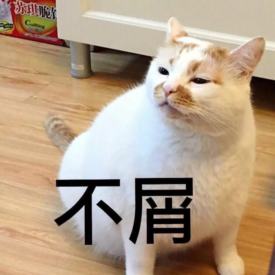 猫咪为什么在房间里乱尿,猫咪被其他猫欺负会乱尿吗