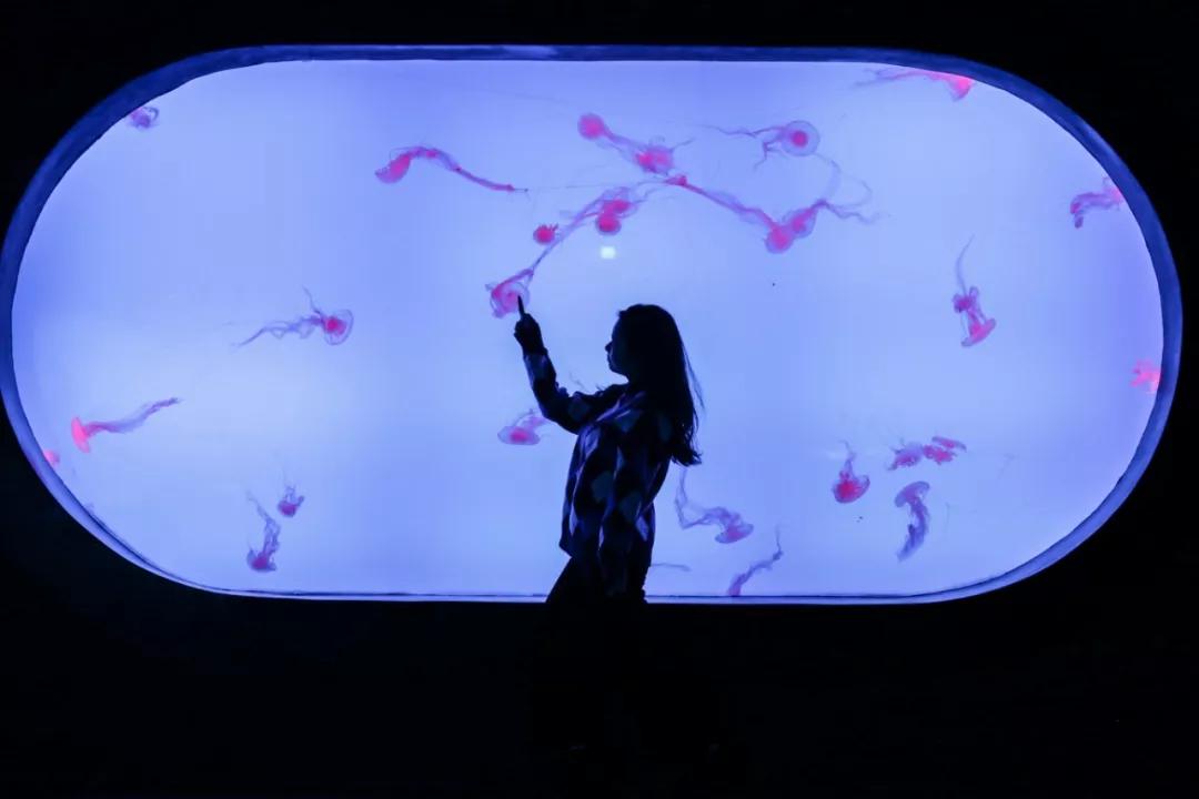 巴南又能耍又有吃的,重庆有什么美食巴南区