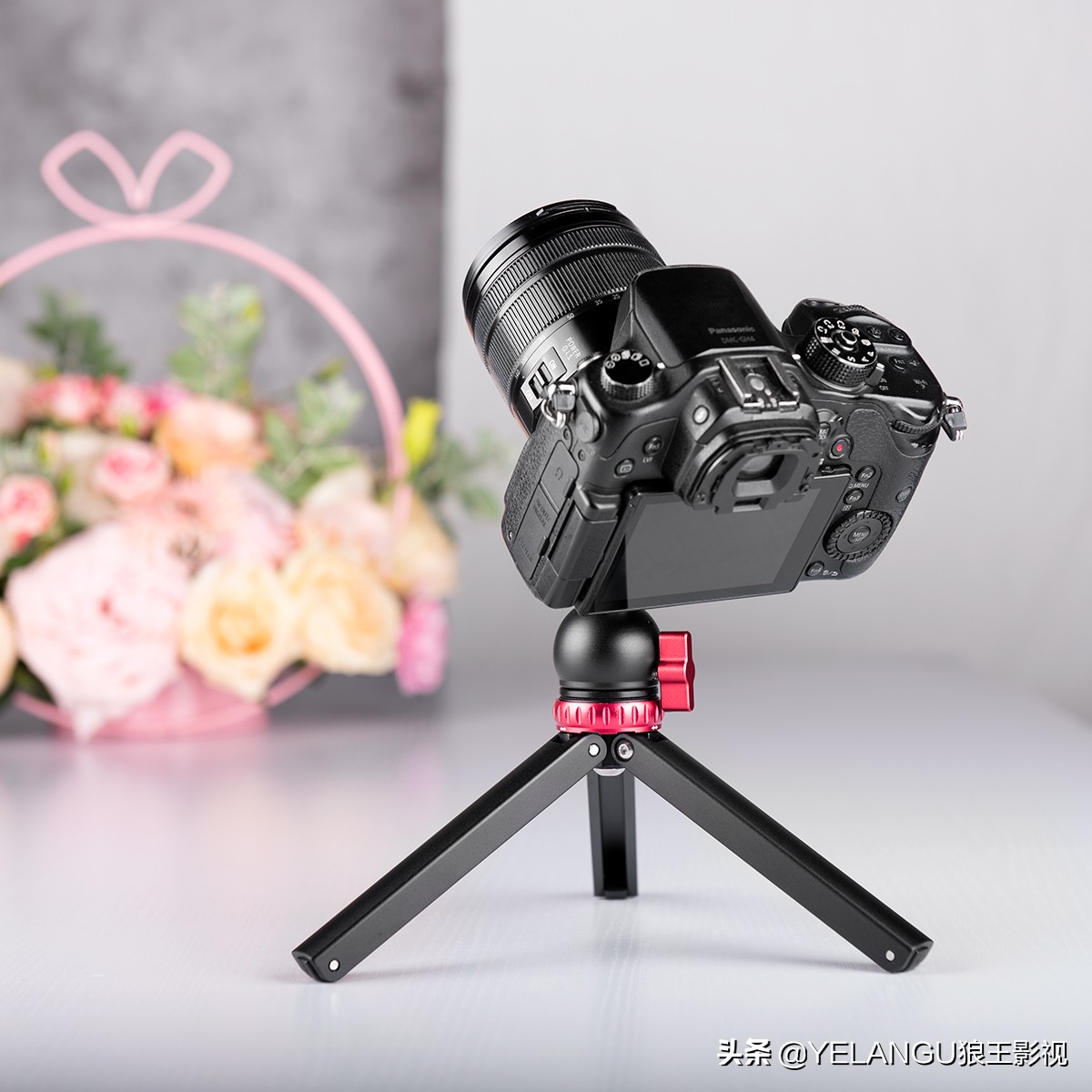 鐙肩帇褰辫鍣ㄦ潗鎺ㄨ崘,鐙肩帇褰辫鍣ㄦ潗鎺ㄨ崘鍒嗕韩