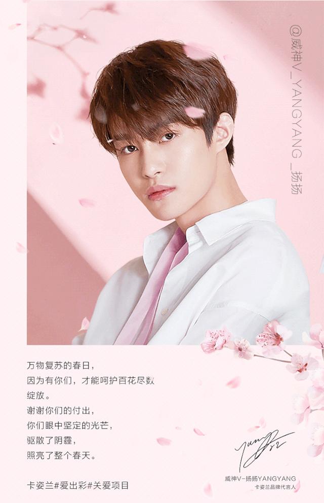 卡姿兰不落樱,卡姿兰不落樱化妆包