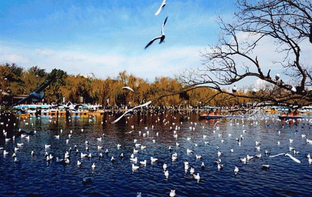 看滇池夕阳,五百里看滇池全景