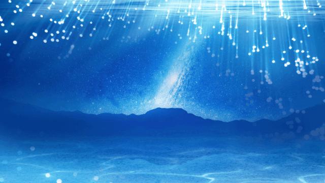 中国高端电子元器件先锋丨火炬电子：荣获福建省制造业单项冠军