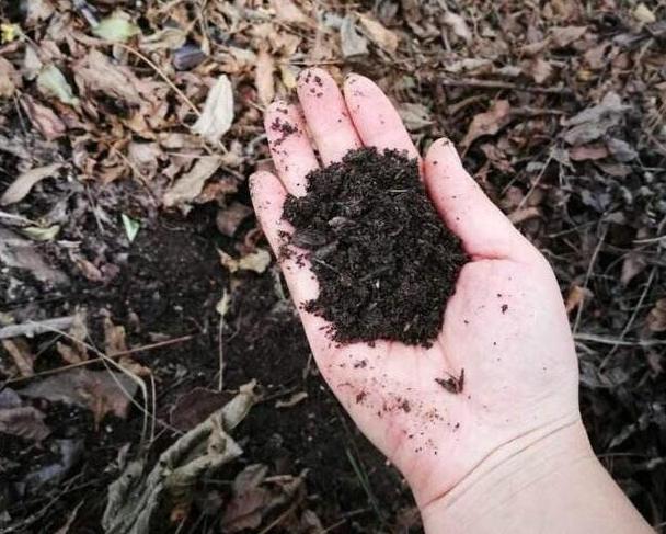 养花的土怎么才能改善酸性土壤,想要土壤疏松透气加什么