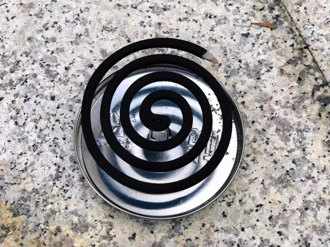 有宠一族必看：啥家庭条件呀，好几万的沙发随便毁？