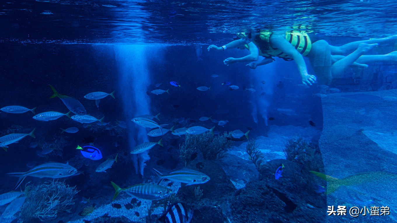 5年之许，小白逆袭重返新加坡