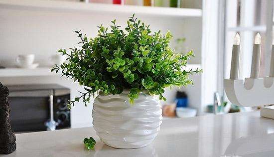 醋加小苏打怎么去除甲醛,加了醋的水能溶解室内甲醛吗