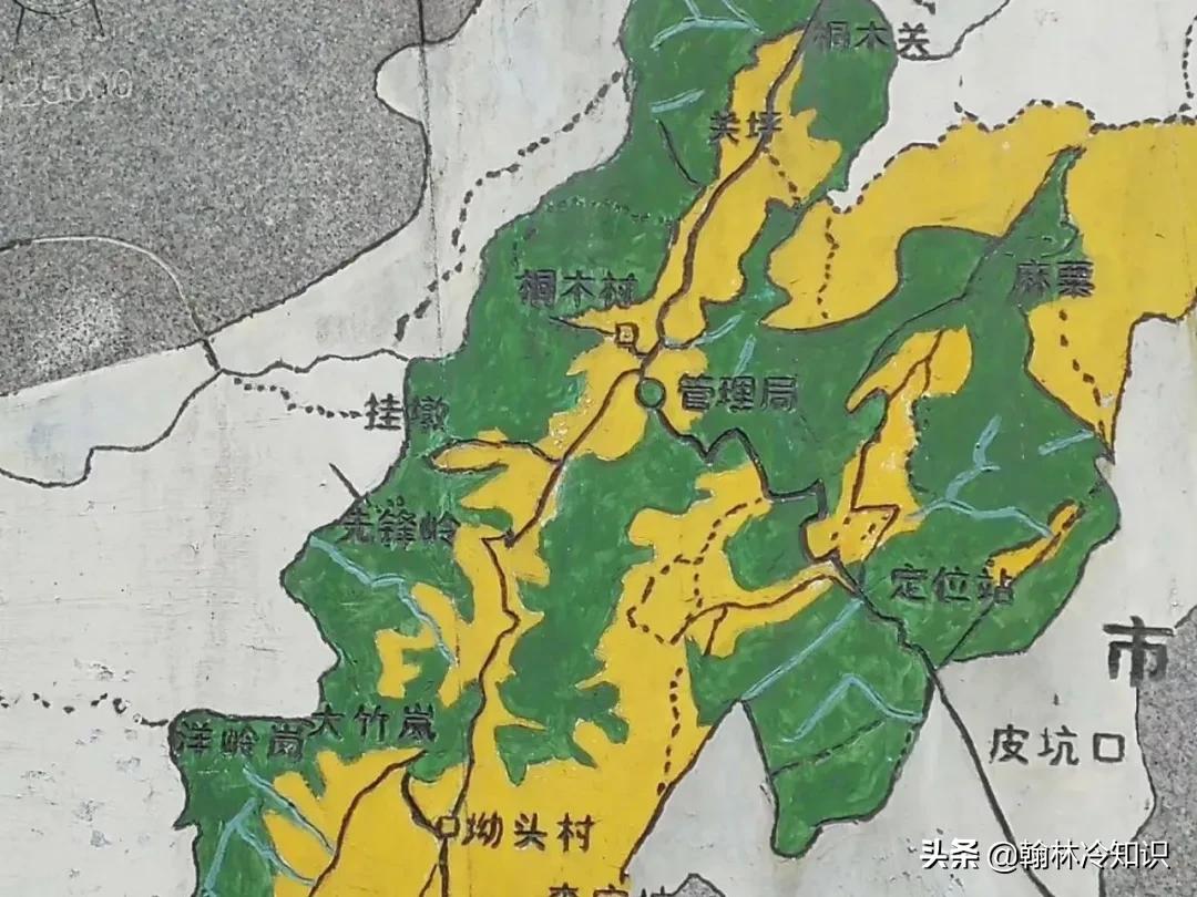 为什么中国人爱喝绿茶,为什么南方人喝绿茶北方人喝红茶