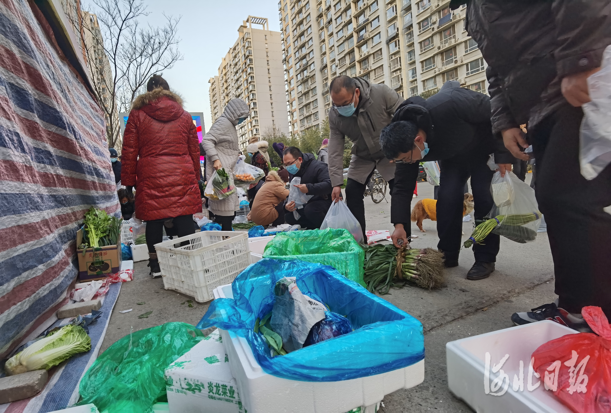 全力以赴抗击疫情,河北第6场疫情防控发布会