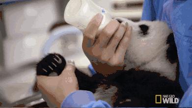 0到6个月宝宝喝水的危害,1个月宝宝喝水呛水正确处理方法