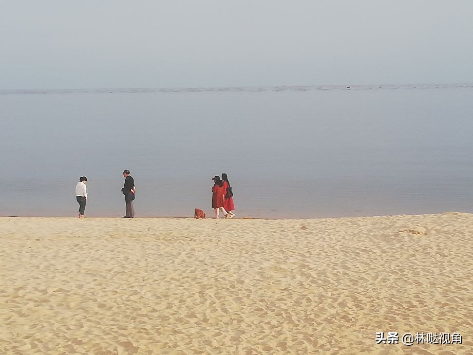 乳山生蚝养殖基地观光,乳山哪里可以养殖牡蛎