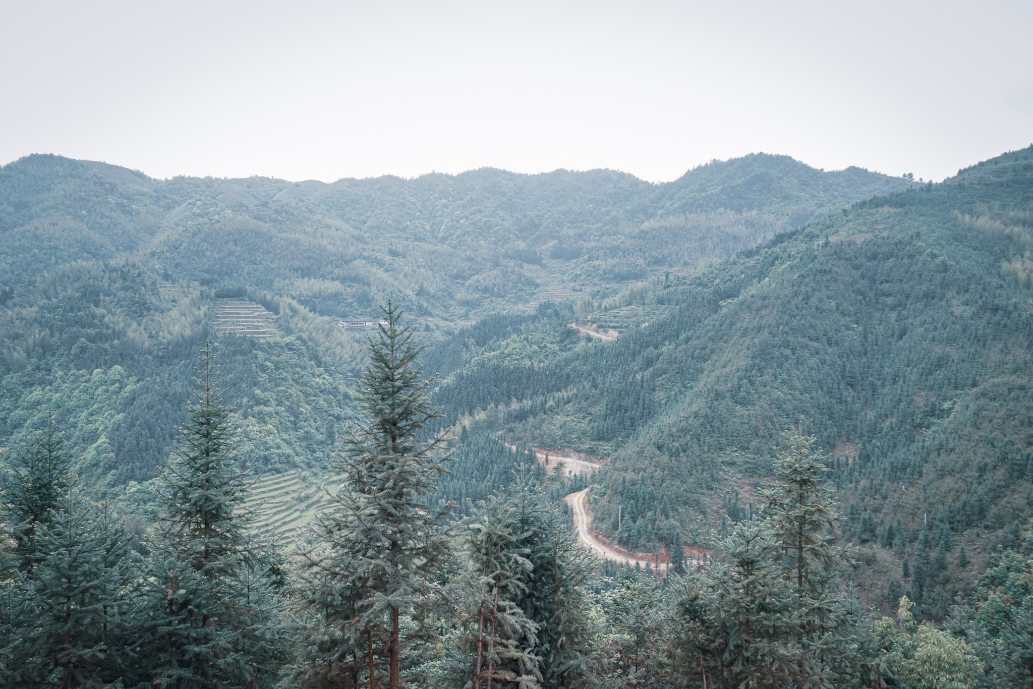 郴州仰天湖民宿多少钱一晚,郴州民宿一晚多少钱