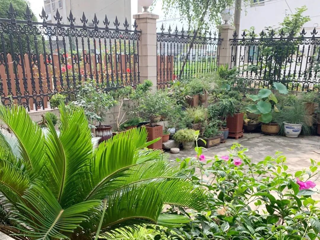 风景好的地方江阴,江阴好风景