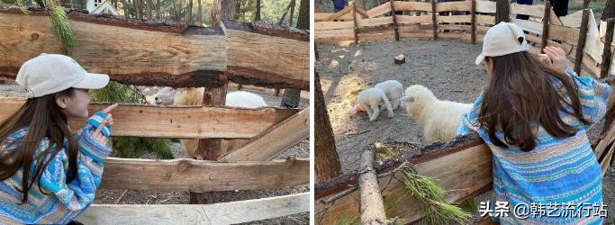 先睹为快:2021春季韩版针织衫新款在明星和模特中流行出现