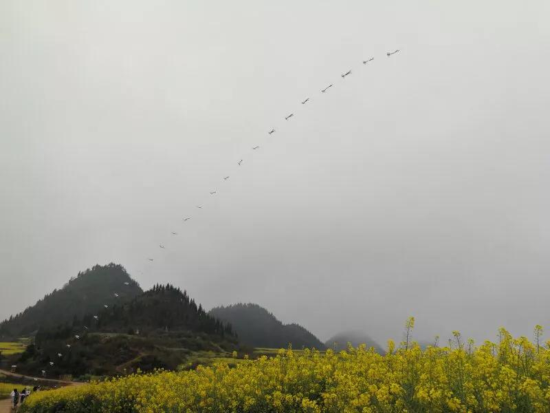 2022年世界手机摄影大赛征稿,手拍世界摄影网