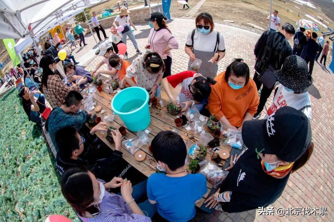 北京中风险区清零,北京中风险地区解除