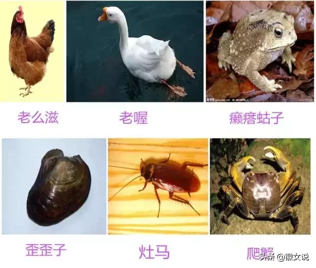 用一句话证明你是安徽的,用一句话来证明你是武汉人