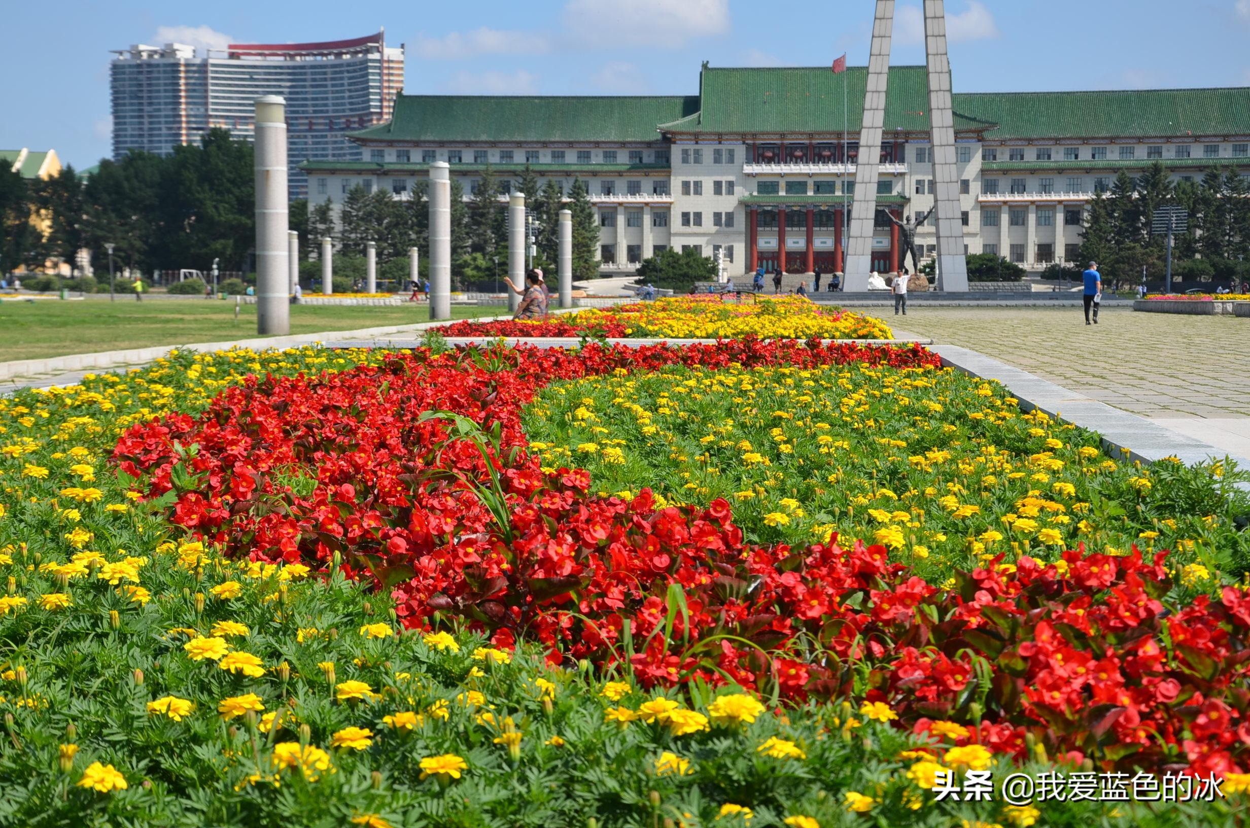 长春满眼都是绿色的地方,长春的绿化很好吗