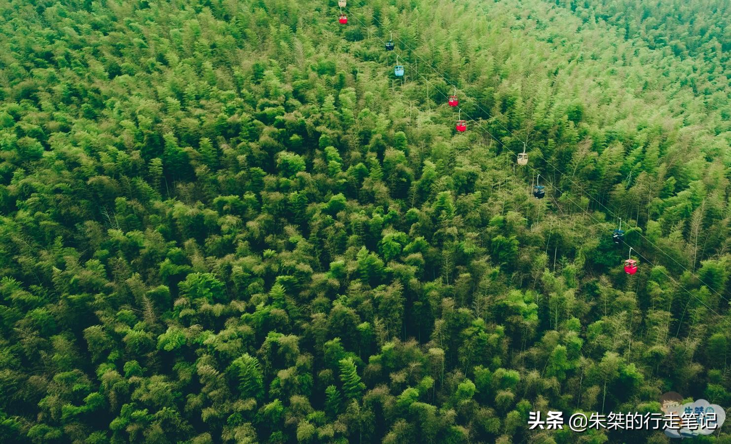 万亩竹海风景区,竹海生态旅游景区免门票