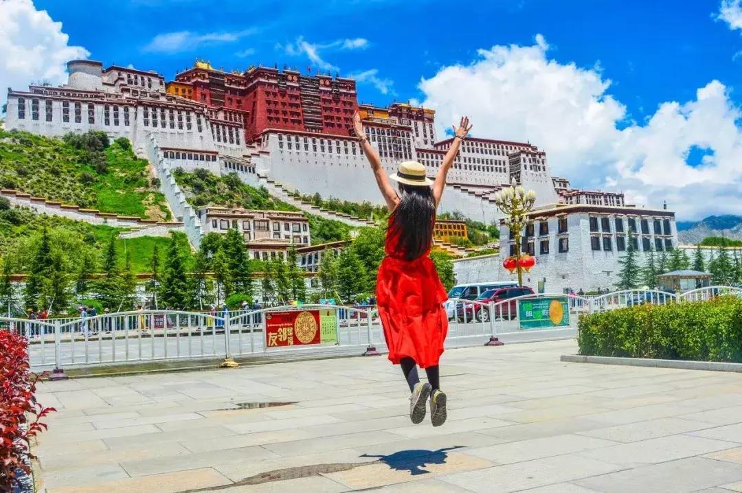 一粒种子的旅行中的冷知识,旅行冷知识