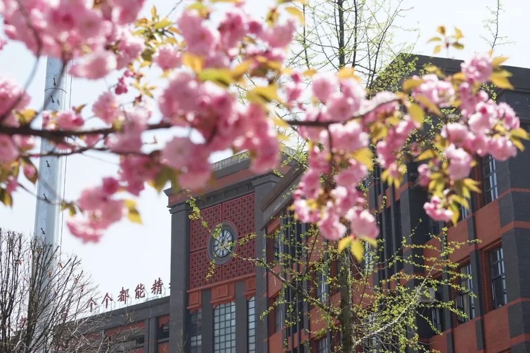 这个区没有好初中？家长“读完小学就要搬家”？成华区中学大盘点