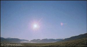 在吗是我小羊咩咩呀,在吗我